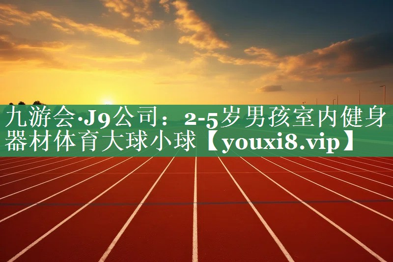 九游会·J9公司：2-5岁男孩室内健身器材体育大球小球