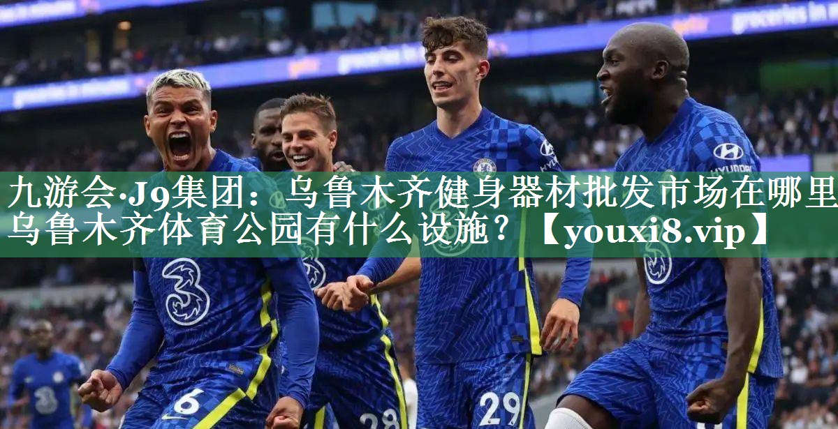 九游会·J9集团：乌鲁木齐健身器材批发市场在哪里,乌鲁木齐体育公园有什么设施？