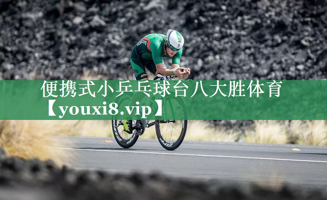 便携式小乒乓球台八大胜体育