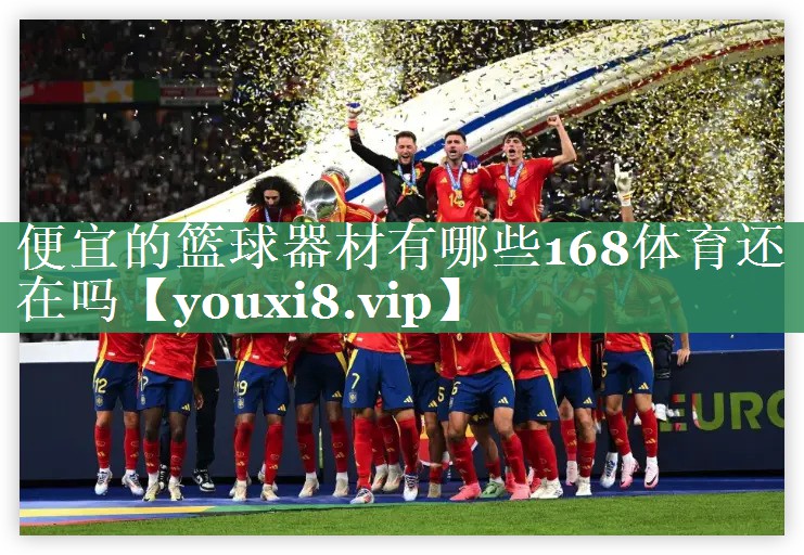 便宜的篮球器材有哪些168体育还在吗