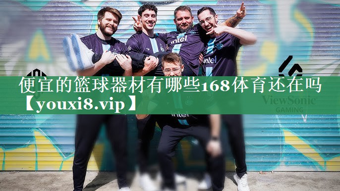 便宜的篮球器材有哪些168体育还在吗