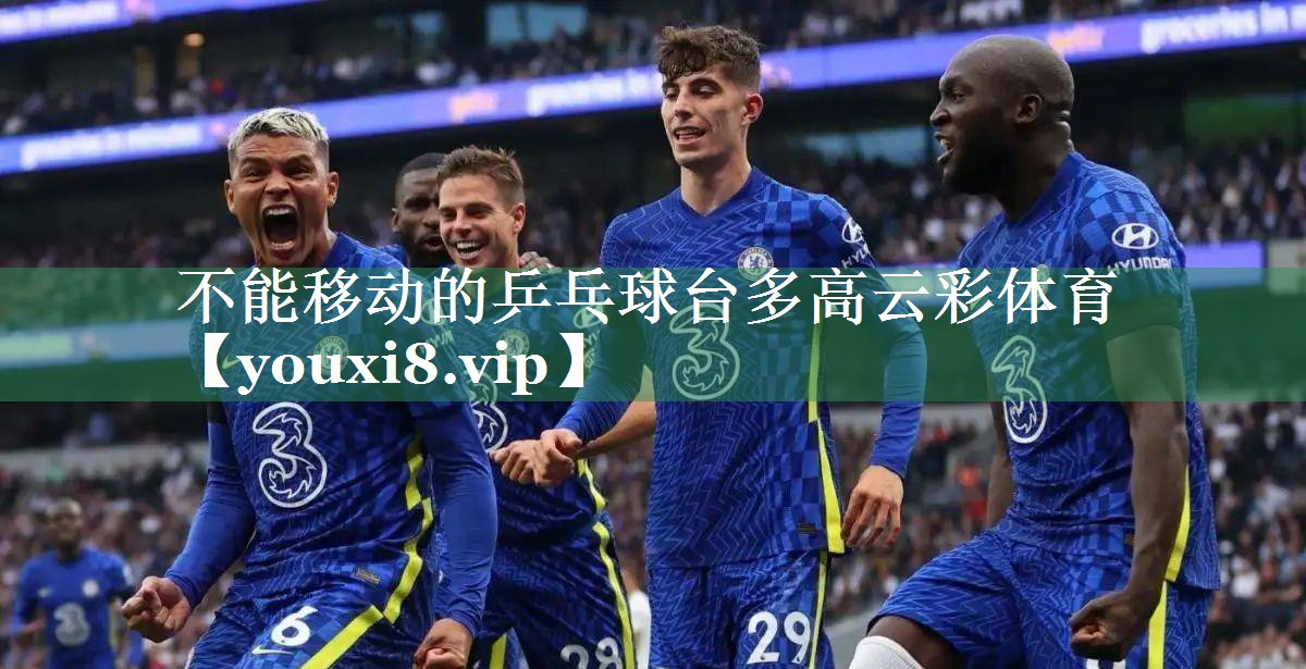 不能移动的乒乓球台多高云彩体育