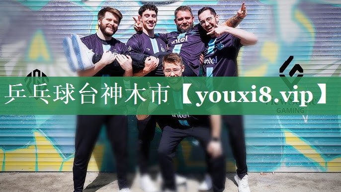 乒乓球台神木市