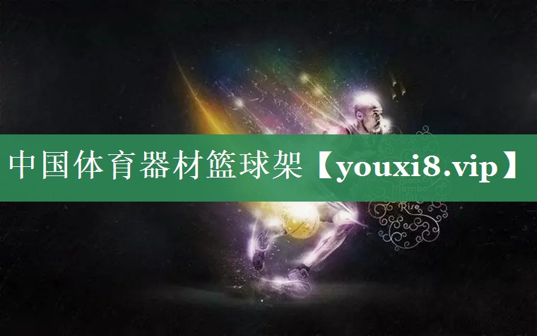<strong>中国体育器材篮球架</strong>