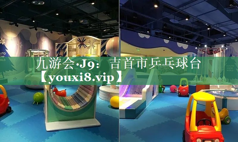 吉首市乒乓球台