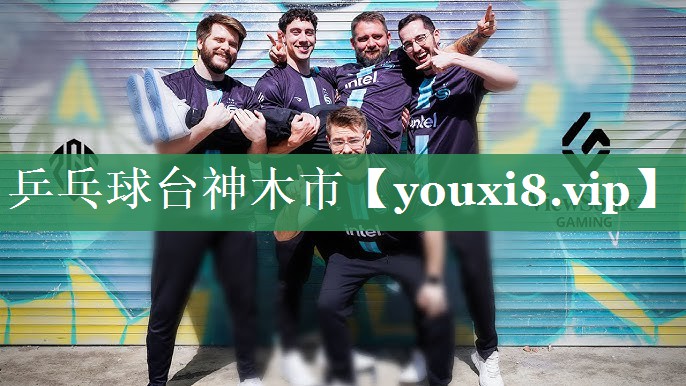 乒乓球台神木市