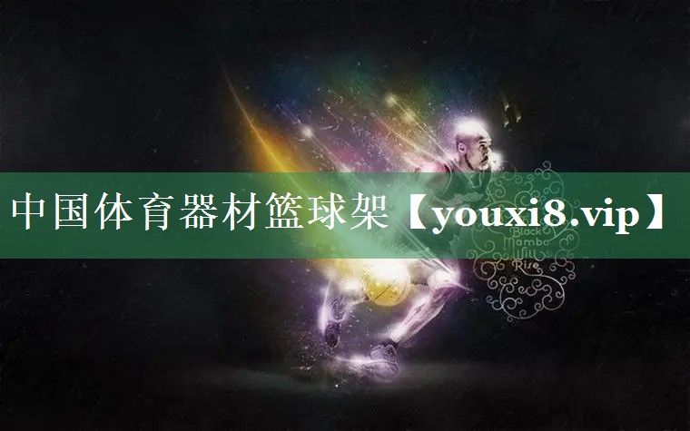 中国体育器材篮球架